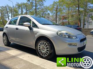 FIAT Punto usata 30