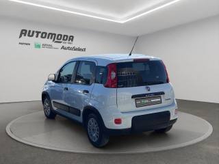 FIAT Panda usata, con Controllo trazione