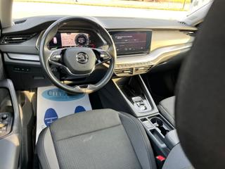 SKODA Octavia usata, con Cruise Control