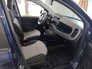 FIAT Panda usata, con Cronologia tagliandi