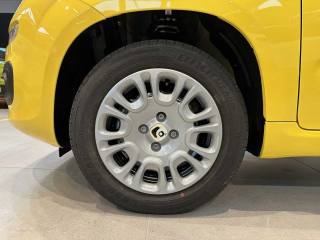 FIAT Panda usata, con ESP
