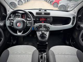 FIAT Panda usata, con Volante multifunzione