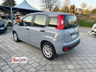 FIAT Panda usata 6