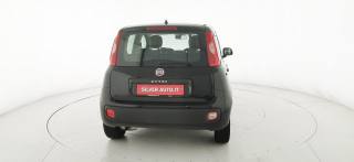 FIAT Panda usata 46