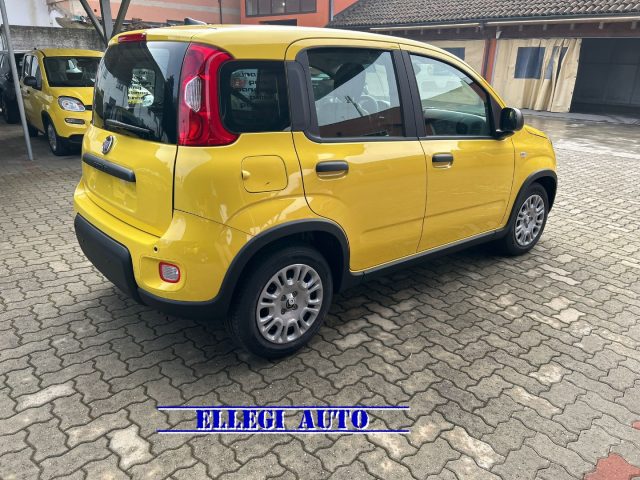 FIAT Panda usata, con Airbag Passeggero