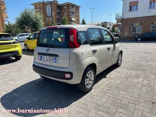 FIAT Panda usata, con Autoradio