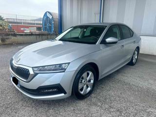SKODA Octavia usata, con Airbag