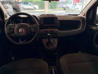 FIAT Panda Cross usata, con Alzacristalli elettrici