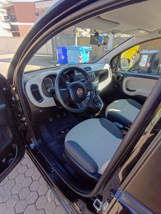 FIAT Panda usata 3