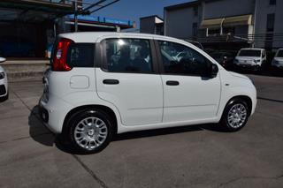FIAT Panda usata, con Autoradio