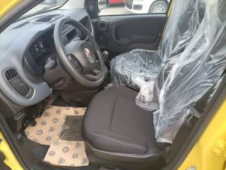FIAT Panda usata, con Immobilizzatore elettronico