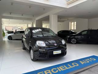 FIAT Panda usata, con Airbag Passeggero