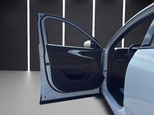 RENAULT Austral usata, con Fendinebbia