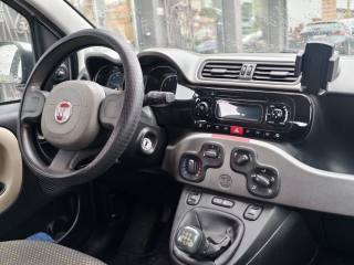 FIAT Panda usata, con Bracciolo