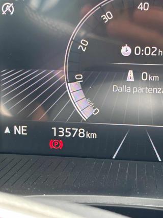 SKODA Fabia usata, con Park Distance Control