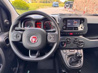 FIAT Panda usata, con Park Distance Control