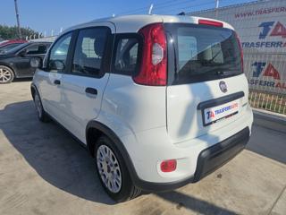 FIAT Panda usata, con Airbag Passeggero