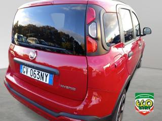 FIAT Panda Cross usata 16