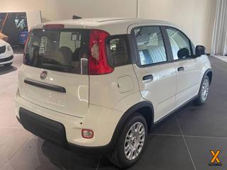 FIAT Panda usata, con Chiusura centralizzata