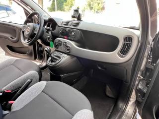 FIAT Panda usata 17