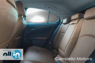 LEXUS UX 250h usata 5