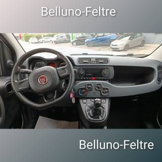 FIAT Panda usata, con Climatizzatore
