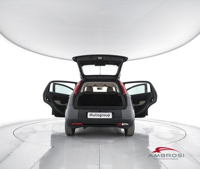 FIAT Punto usata 6