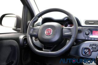 FIAT Panda usata 33