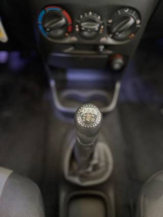 FIAT Punto usata 12