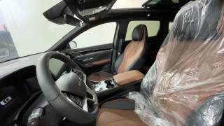 BYD Seal usata, con Bracciolo