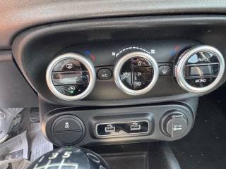 FIAT 500L usata, con Cronologia tagliandi