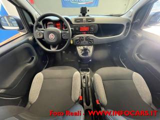 FIAT Panda usata, con Volante multifunzione