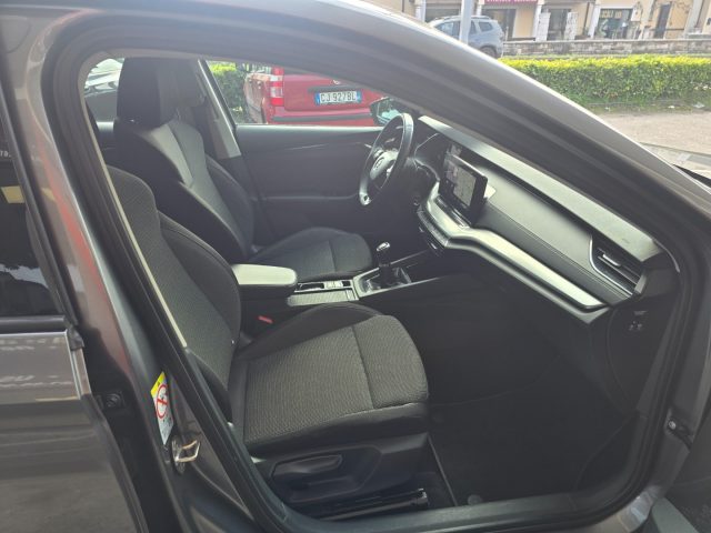 SKODA Octavia usata 106