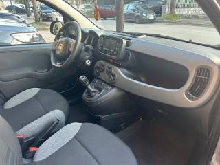 FIAT Panda usata, con Controllo trazione