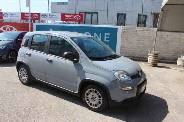 FIAT Panda usata 17
