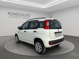 FIAT Panda usata 3