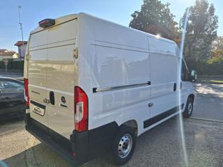 FIAT Ducato usata, con Cruise Control