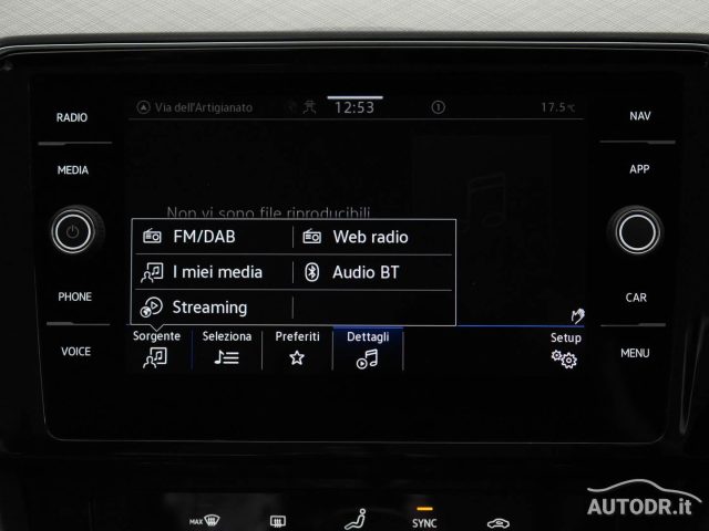 VOLKSWAGEN Passat Variant usata, con Sensore di luce