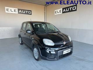 FIAT Panda 1.0 FireFly S&S Hybrid - NEOPATENTATI