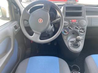 FIAT Panda usata, con Luce d