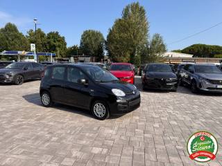 FIAT Panda usata, con Antifurto