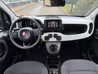 FIAT Panda Cross usata, con Cruise Control