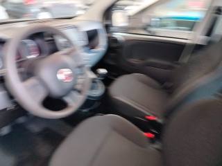 FIAT Panda usata, con Autoradio digitale