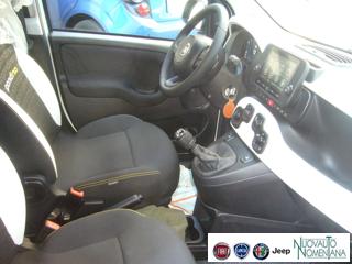 FIAT Pandina usata, con Sensore di pioggia