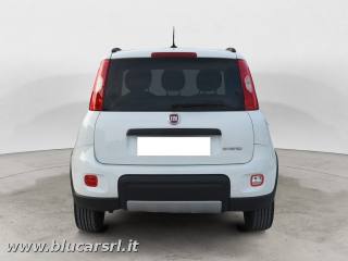 FIAT Panda usata 4