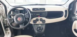 FIAT Panda usata, con Cronologia tagliandi