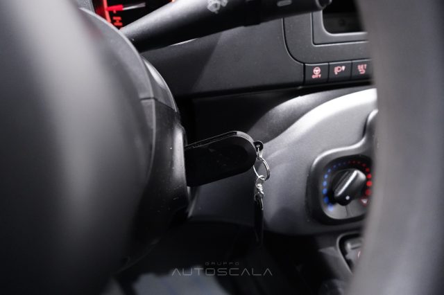 FIAT New Panda usata 16