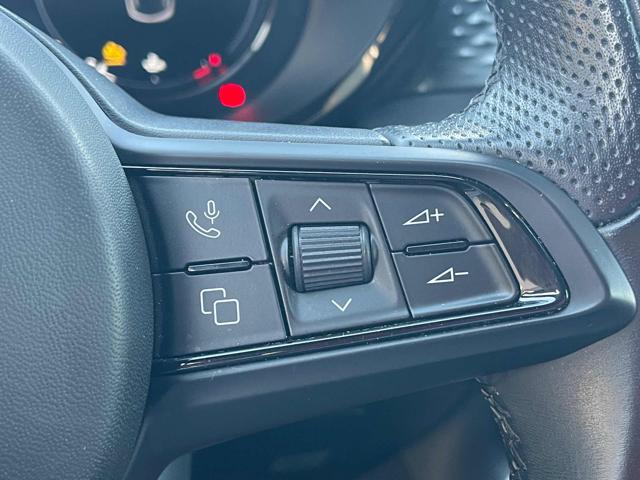 ALFA ROMEO Tonale usata 31