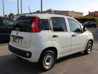 FIAT Panda usata, con Airbag Passeggero