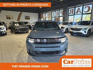 FIAT Grande Panda usata, con Frenata d